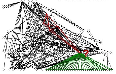 foodweb2