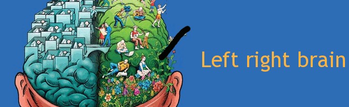 left-right-brain