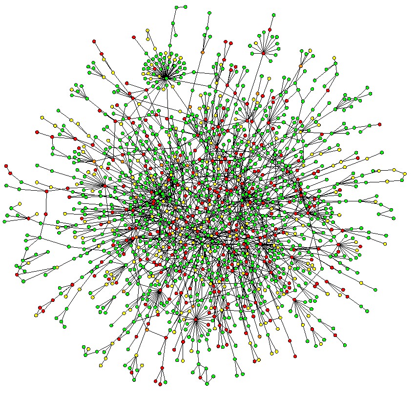 yeast protein interaction network